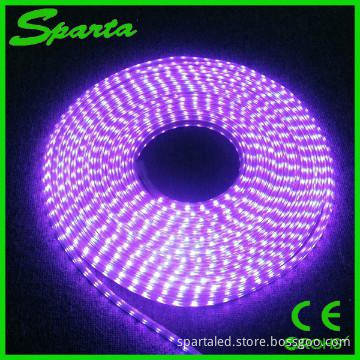 Floor Light LED Strip Lighting Flexible 5050 SMD LED Strip